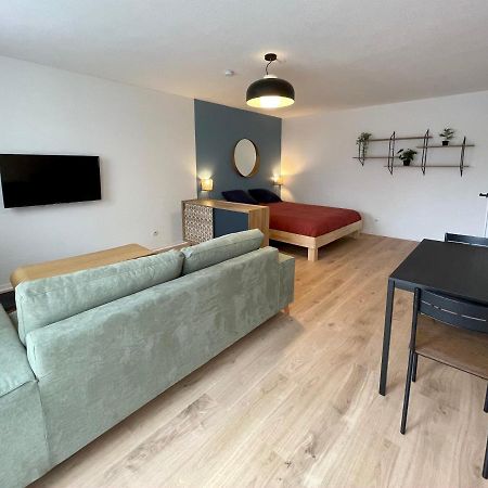 Апартаменты Grand Studio Joli Coeur - Calme Cosy Lumineux + Parking Нанси Экстерьер фото